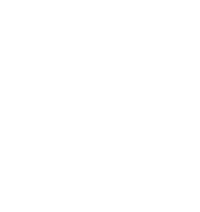 Long Island Core Gymnastics banner logo