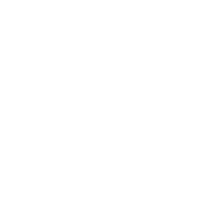Long Island Core Gymnastics banner logo
